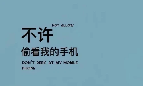 【6396】文字壁纸  2K 高清壁纸886_1920@青蛙壁纸-笨猫小站