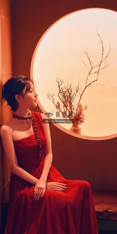 【6456】美女人物壁纸 佟丽娅  1080P 高清壁纸660_1320@青蛙壁纸-笨猫小站