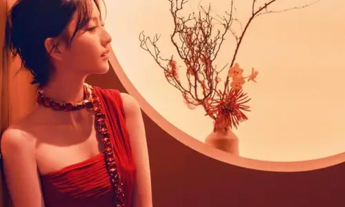 【6456】美女人物壁纸 佟丽娅  1080P 高清壁纸660_1320@青蛙壁纸-笨猫小站