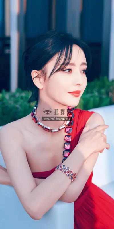 【6459】美女人物壁纸 佟丽娅  1080P 高清壁纸660_1320@青蛙壁纸-笨猫小站