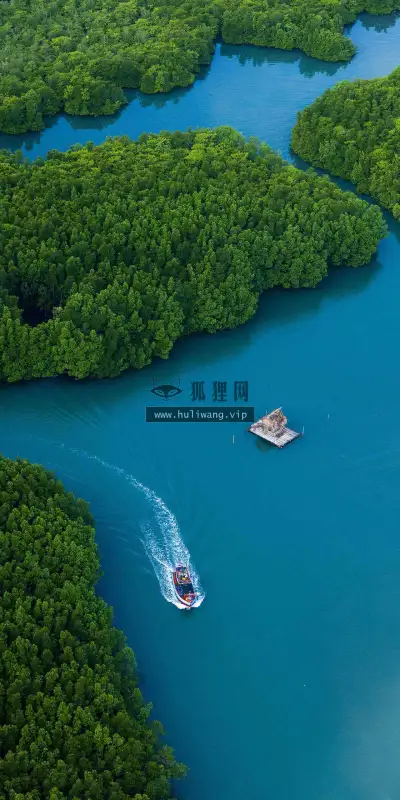 【6488】风景壁纸  4K 超清壁纸1440_2560@青蛙壁纸-笨猫小站