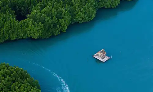 【6488】风景壁纸  4K 超清壁纸1440_2560@青蛙壁纸-笨猫小站