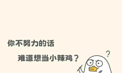 【6497】文字壁纸  4K 超清壁纸1080_2338@青蛙壁纸-笨猫小站