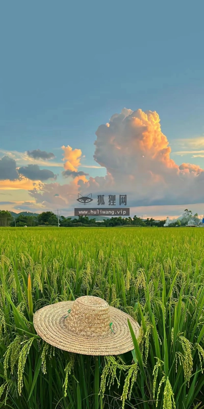 【6522】风景壁纸  4K 超清壁纸1242_2688@青蛙壁纸-笨猫小站