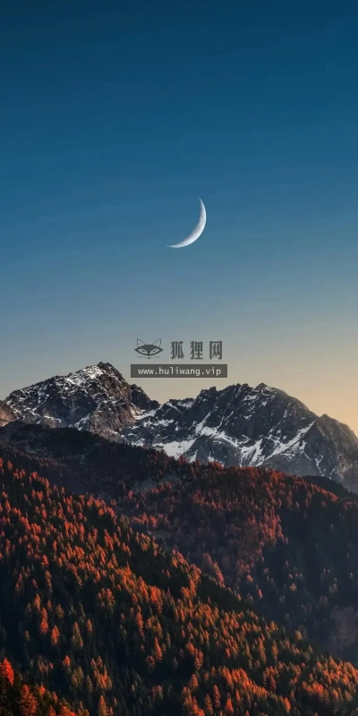 【6655】创意壁纸  4K 超清壁纸1024_2220@青蛙壁纸-笨猫小站