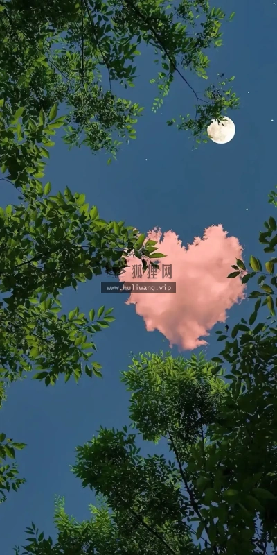 【6657】创意壁纸  4K 超清壁纸1080_2197@青蛙壁纸-笨猫小站