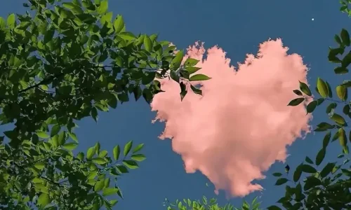 【6657】创意壁纸  4K 超清壁纸1080_2197@青蛙壁纸-笨猫小站