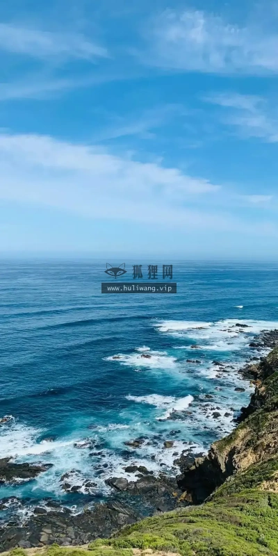 【6658】创意壁纸  4K 超清壁纸1080_2400@青蛙壁纸-笨猫小站