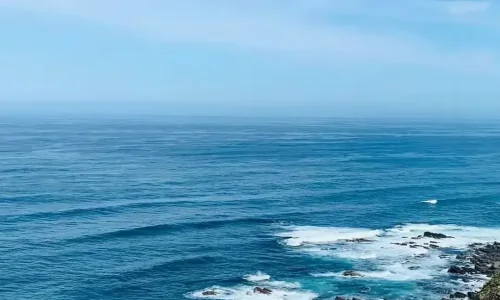 【6658】创意壁纸  4K 超清壁纸1080_2400@青蛙壁纸-笨猫小站