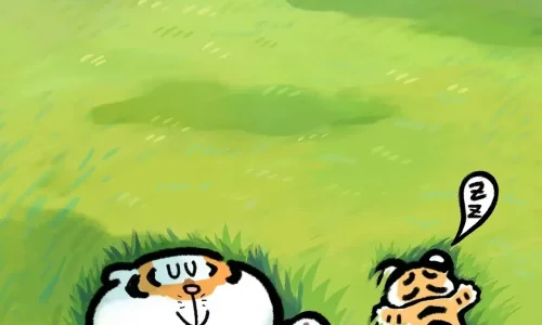 【6692】创意壁纸  4K 超清壁纸1280_3130@青蛙壁纸-笨猫小站