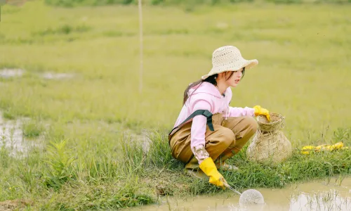 【6786】美女人物壁纸 明星 歌手 演员 杨超越  4K 超清壁纸5472_3648@青蛙壁纸-笨猫小站