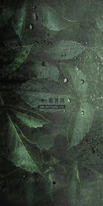 【6827】简约壁纸  4K 超清壁纸1280_2768@青蛙壁纸-笨猫小站