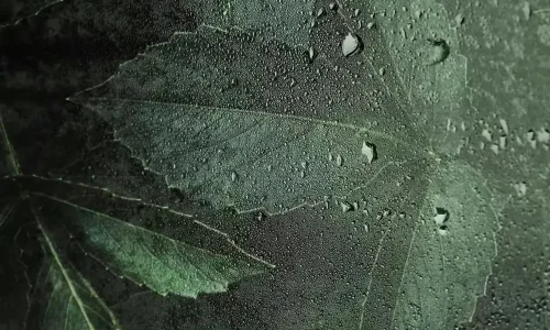 【6827】简约壁纸  4K 超清壁纸1280_2768@青蛙壁纸-笨猫小站