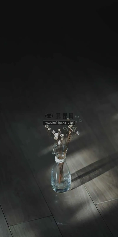 【6851】创意壁纸  4K 超清壁纸1080_2339@青蛙壁纸-笨猫小站