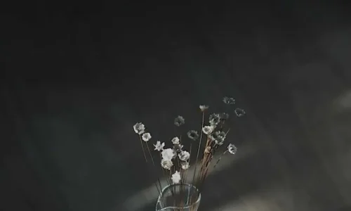 【6851】创意壁纸  4K 超清壁纸1080_2339@青蛙壁纸-笨猫小站