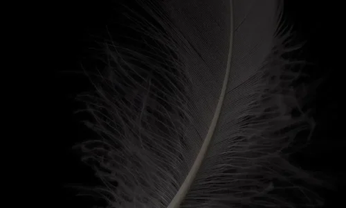 【6854】简约壁纸  4K 超清壁纸1080_2340@青蛙壁纸-笨猫小站