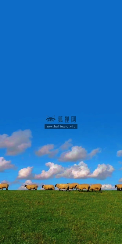 【7128】风景壁纸  4K 超清壁纸1242_2688@青蛙壁纸-笨猫小站