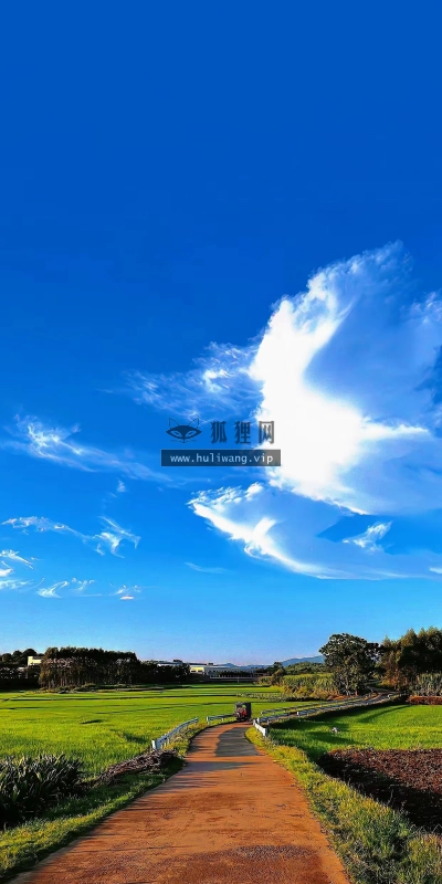 【7130】风景壁纸  4K 超清壁纸1242_2688@青蛙壁纸-笨猫小站
