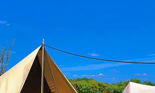 【7131】风景壁纸  4K 超清壁纸1242_2688@青蛙壁纸-笨猫小站