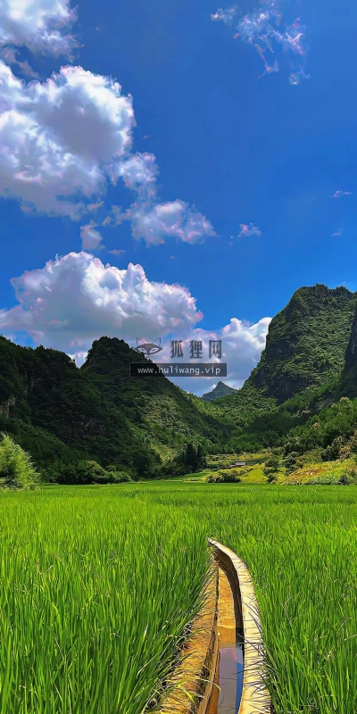 【7133】风景壁纸 4K 超清壁纸1242_2688@青蛙壁纸-笨猫小站