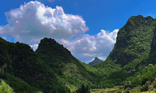 【7133】风景壁纸  4K 超清壁纸1242_2688@青蛙壁纸-笨猫小站