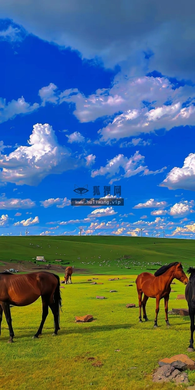 【7135】风景壁纸  4K 超清壁纸1242_2688@青蛙壁纸-笨猫小站