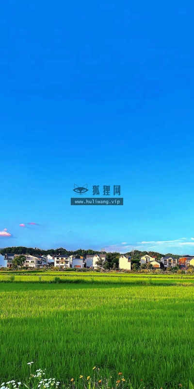 【7136】风景壁纸  4K 超清壁纸1242_2688@青蛙壁纸-笨猫小站