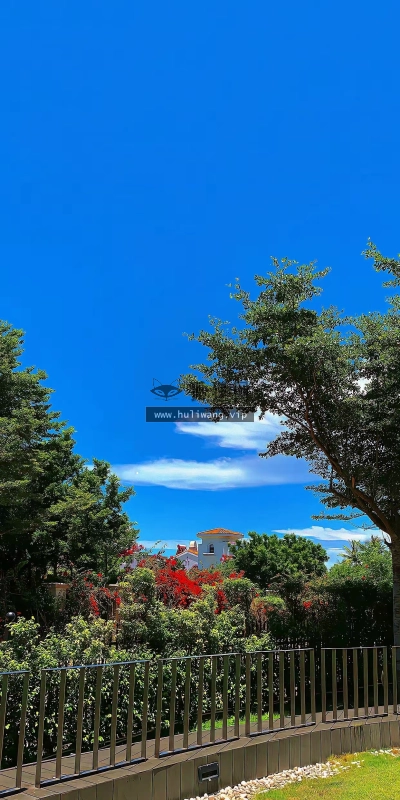 【7137】风景壁纸  4K 超清壁纸1242_2688@青蛙壁纸-笨猫小站