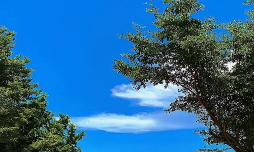 【7137】风景壁纸  4K 超清壁纸1242_2688@青蛙壁纸-笨猫小站