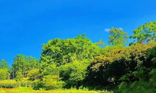 【7138】风景壁纸  4K 超清壁纸1242_2688@青蛙壁纸-笨猫小站