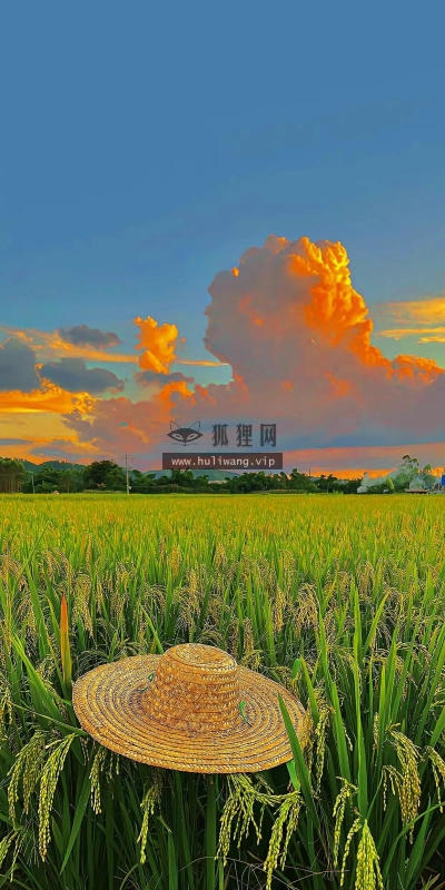 【7142】风景壁纸  4K 超清壁纸1242_2688@青蛙壁纸-笨猫小站