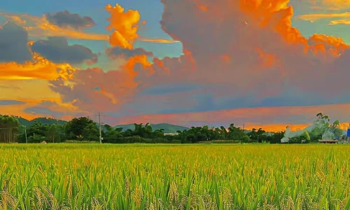 【7142】风景壁纸  4K 超清壁纸1242_2688@青蛙壁纸-笨猫小站