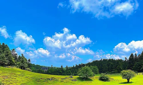 【7145】风景壁纸  4K 超清壁纸1242_2688@青蛙壁纸-笨猫小站