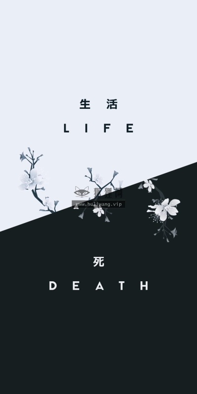 【7310】创意壁纸  2K 高清壁纸1024_1821@青蛙壁纸-笨猫小站