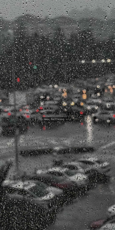 【7322】创意壁纸  4K 超清壁纸1080_2337@青蛙壁纸-笨猫小站