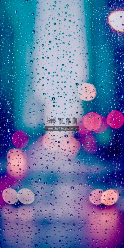 【7327】创意壁纸  4K 超清壁纸1080_2260@青蛙壁纸-笨猫小站