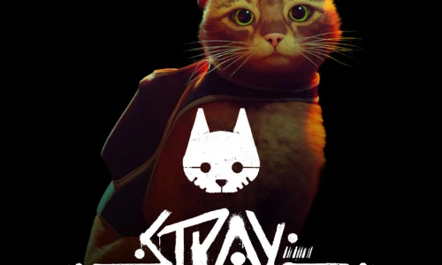 【7338】创意壁纸  4K 超清壁纸1125_2436@青蛙壁纸-笨猫小站