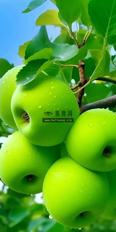 【7560】美食壁纸  2K 高清壁纸982_1746@青蛙壁纸-笨猫小站