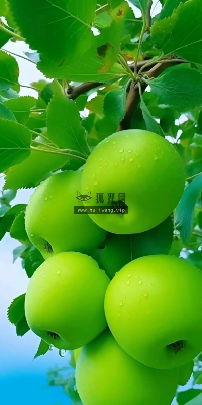 【7564】美食壁纸  2K 高清壁纸1010_1794@青蛙壁纸-笨猫小站