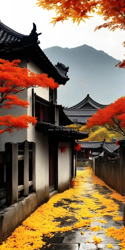 【7590】风景壁纸  4K 超清壁纸1920_2560@青蛙壁纸-笨猫小站
