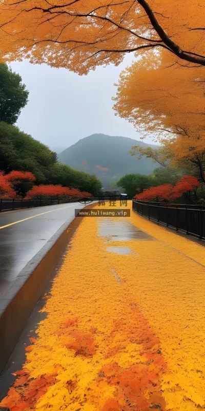【7591】风景壁纸  4K 超清壁纸1920_2560@青蛙壁纸-笨猫小站