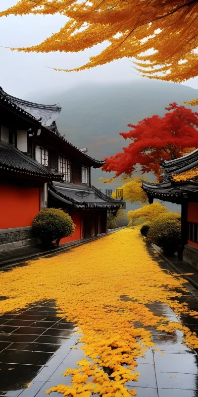 【7592】风景壁纸  4K 超清壁纸1920_2560@青蛙壁纸-笨猫小站