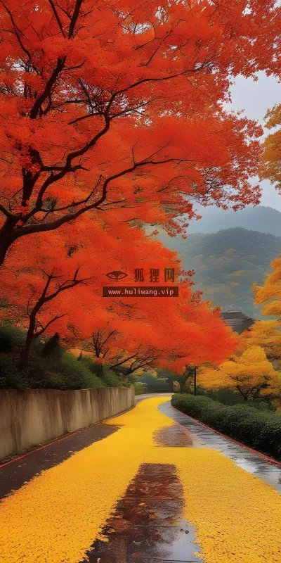 【7594】风景壁纸  4K 超清壁纸1920_2560@青蛙壁纸-笨猫小站