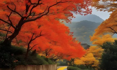 【7594】风景壁纸  4K 超清壁纸1920_2560@青蛙壁纸-笨猫小站