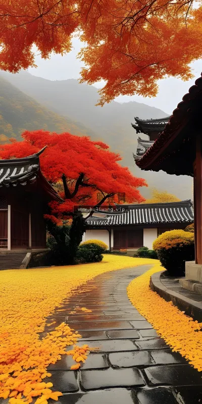 【7595】风景壁纸  4K 超清壁纸1920_2560@青蛙壁纸-笨猫小站