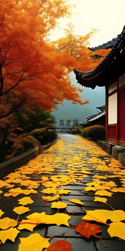 【7596】风景壁纸  4K 超清壁纸1920_2560@青蛙壁纸-笨猫小站