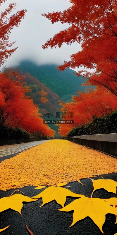 【7597】风景壁纸  4K 超清壁纸1920_2560@青蛙壁纸-笨猫小站
