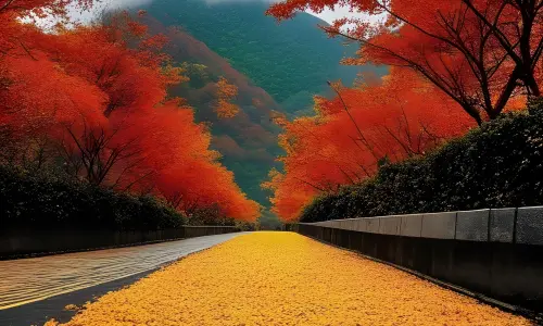 【7597】风景壁纸  4K 超清壁纸1920_2560@青蛙壁纸-笨猫小站