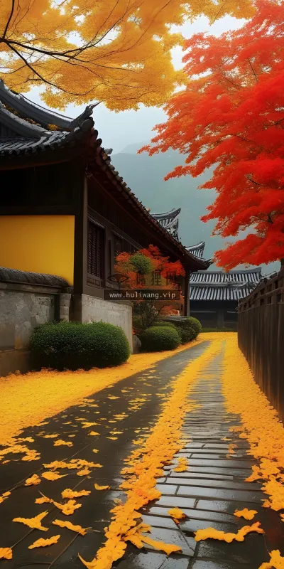 【7600】风景壁纸 4K 超清壁纸1920_2560@青蛙壁纸-笨猫小站