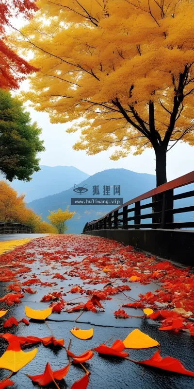 【7601】风景壁纸  4K 超清壁纸1920_2560@青蛙壁纸-笨猫小站